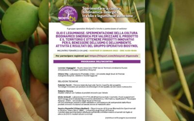 WEBINAR / Biosynol. Olio e leguminose: sperimentazione della coltura biodinamico sinergica