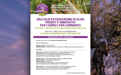 Dall’olio extravergine di oliva prodotti innovativi per l’uomo e per l’ambiente. Convegno, 21 febbraio 2023